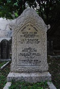 Hong Kong Cemetery - Size, Alfred John